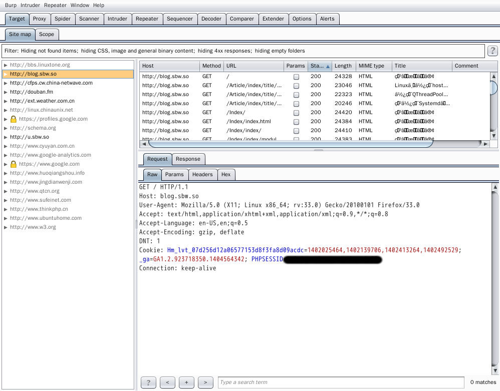 BurpSuite spider