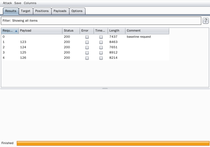 BurpSuite Intruder Attack